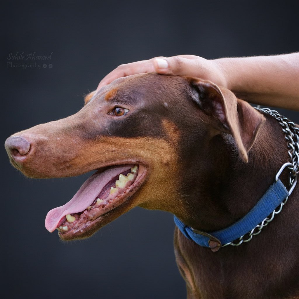 Sample placeholder image